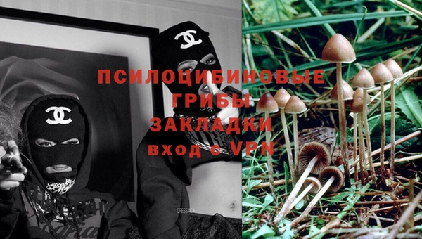 синтетический гашиш Кинешма