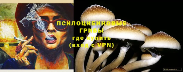 синтетический гашиш Кинешма