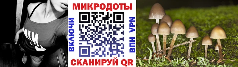 Купить  Шелехов  Псилоцибиновые грибы GOLDEN TEACHER 